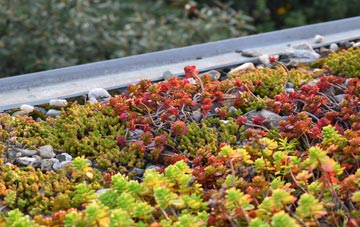 the cost of Studley Royal green roof installation