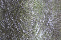 Studley Royal fibreglass roof work